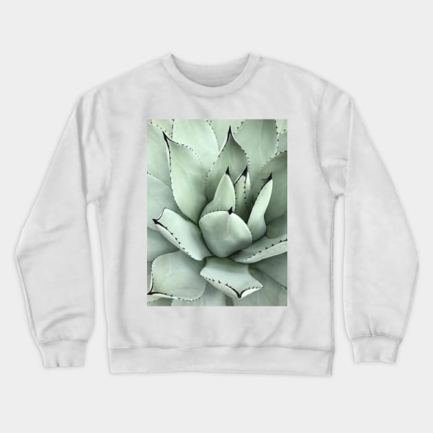 Bright Succulent Photo Crewneck Sweatshirt by Rosemogo